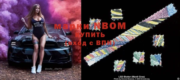 амф Вяземский